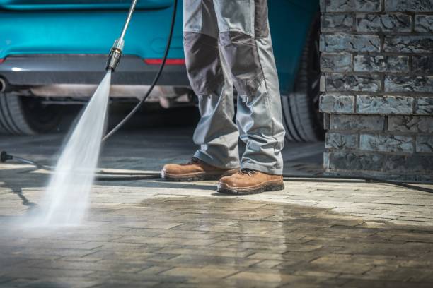 Best Pool Deck Cleaning  in Luckey, OH